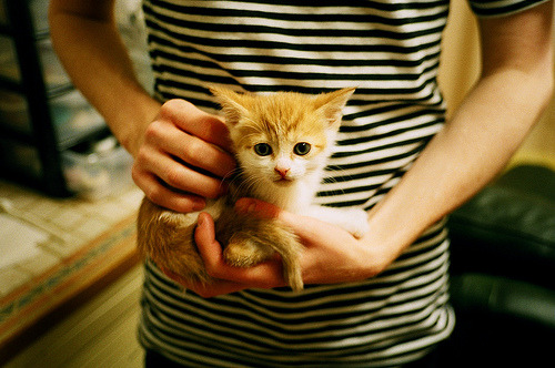 伊朗男篮在亚洲预赛中持续奋战，冲刺奥运梦想，伊朗男篮亚洲排名