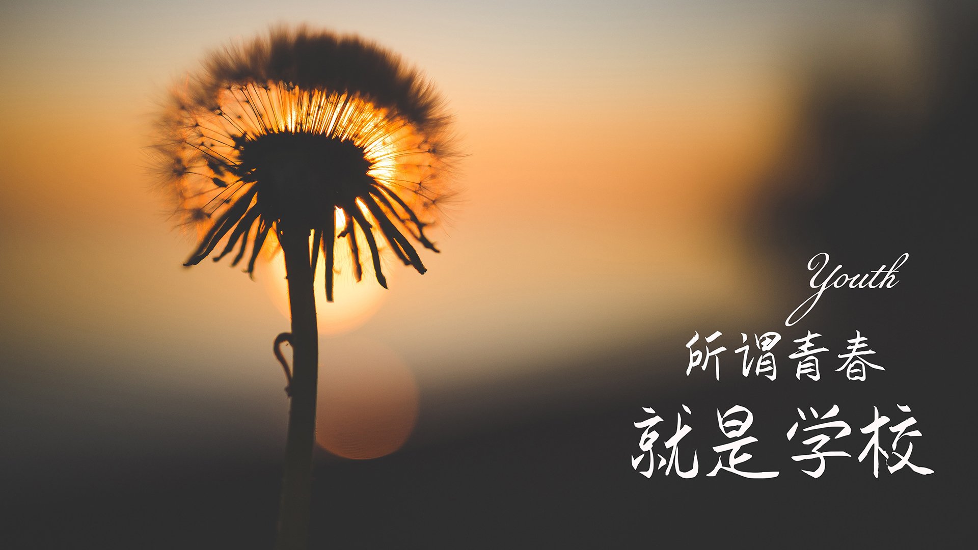 开云体育平台-意甲青训营引入心理韧性训练促进球员压力管理，意甲青训规则