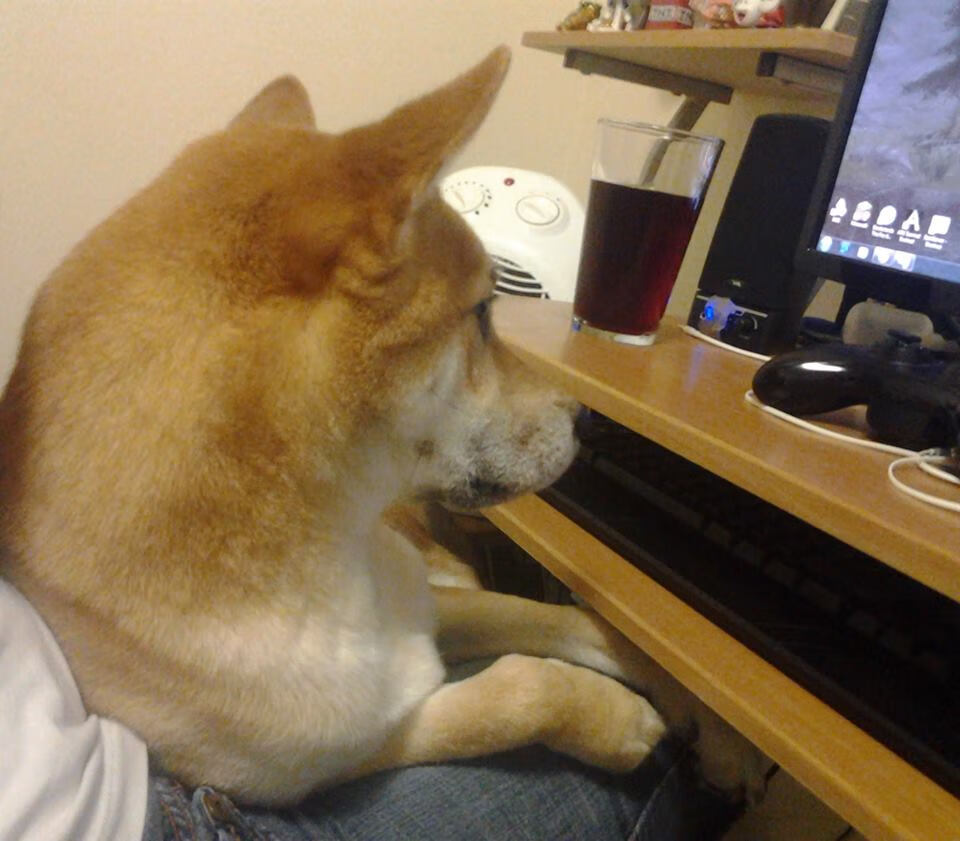 kaiyun 开云体育-中国女篮提升中锋策应拉动全队联动，中国女篮260斤中锋